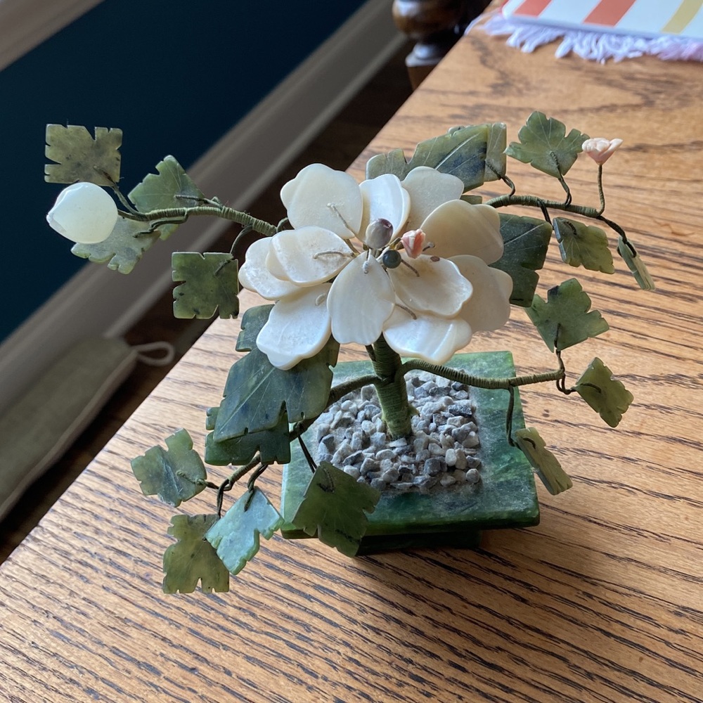 Jade tree